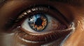 Macro Ocular Dirofilariasis. Dirofilaria Parasite Detected in Ocular and Periocular Royalty Free Stock Photo