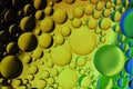 Macro Oil bubbles colourful background Royalty Free Stock Photo