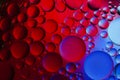 Macro Oil bubbles colourful background Royalty Free Stock Photo