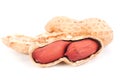 Macro of an opened peanut isolated on white Royalty Free Stock Photo