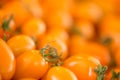 Macro of orange cherry tomatoes