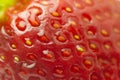 Macro organic strawberry