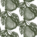 Macro Pear Fruit seamless pattern