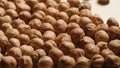 Macro of Peeled hazelnut kernels on wooden desk Royalty Free Stock Photo