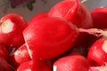 Macro of peeled moist radishes