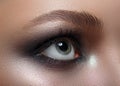 Macro. Perfect makeup and eyebrows. Beautiful gray eyes Royalty Free Stock Photo