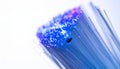 Glowing Blue Fiber Optic Cable Bundle Macro Royalty Free Stock Photo