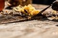 Macro photo of a bee hive on a honeycomb. Bees produce fresh, healthy, honey. Honey background. Beekeeping concept. Long banner Royalty Free Stock Photo