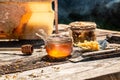 Macro photo of a bee hive on a honeycomb. Bees produce fresh, healthy, honey. Honey background. Beekeeping concept. Long banner Royalty Free Stock Photo