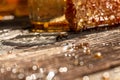 Macro photo of a bee hive on a honeycomb. Bees produce fresh, healthy, honey. Honey background. Beekeeping concept. Long banner Royalty Free Stock Photo