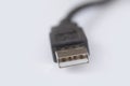 Macro photo of black micro usb cord, cable and connector. Royalty Free Stock Photo