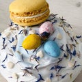 Macro photo of blue cream cake with macaroons and colorful chocolate eggs decorations Royalty Free Stock Photo