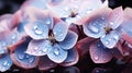 Macro photo of blue hydrangea flowers, close up. Royalty Free Stock Photo