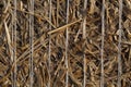 Macro photo of bound straw Royalty Free Stock Photo