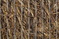 Macro photo of bound straw Royalty Free Stock Photo