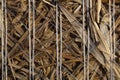 Macro photo of bound straw Royalty Free Stock Photo