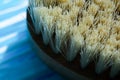 Macro photo of cactus fiber brush. Spa beauty concept.Tetsetka for dry body massage. Macro photo of a brush for anti-cellulite