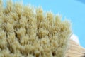 Macro photo of cactus fiber brush. Spa beauty concept.Tetsetka for dry body massage. Macro photo of a brush for anti-cellulite