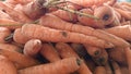 Macro photo carrots lying in a pile on top of each other