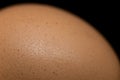 Macro photo of condensated chicken egg surface Royalty Free Stock Photo