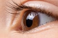 Macro photo of the child`s brown eye. Children`s ophthalmology, eyesight. Royalty Free Stock Photo