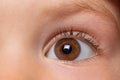 Macro photo of the child`s brown eye. Children`s ophthalmology, eyesight. Close up Royalty Free Stock Photo