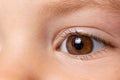 Macro photo of the child`s brown eye. Children`s ophthalmology, eyesight. Close up Royalty Free Stock Photo