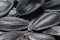 Macro photo close-up black sunflower seeds. Top view. Royalty Free Stock Photo