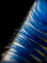 macro photo, close up of used toothbrush bristles Royalty Free Stock Photo