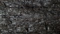 macro photo of coal, texture background Royalty Free Stock Photo
