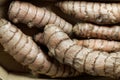 Macro photo of curcuma roots