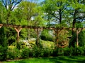 Macro photo with a decorative background of a beautiful garden design perspective with trees, flowering shrubs and various plants Royalty Free Stock Photo