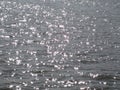 Macro photo with a decorative background of beautiful glare of sunlight on the surface of the water surface of the river