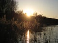 Macro photo with a decorative background of an evening sunset on the shore of a lake in the European country of Lithuania Royalty Free Stock Photo