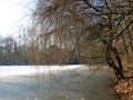 Macro photo with decorative background of winter landscape in the European city of Berlin in the Park area