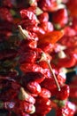 Dried hanging red chilli peppers