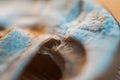 Macro photo of dried white mushroom in vintage style