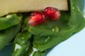 Macro photo. Drops of honey in a fruit plate. Spinach Fruit Salad with pomegr Royalty Free Stock Photo