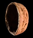 Macro photo of empty shell of walnut isolated on a black with clipping path Royalty Free Stock Photo