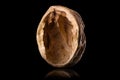 Macro photo of empty shell of walnut with reflection isolated on a black Royalty Free Stock Photo