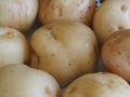 Macro photo of epicure potatoes Royalty Free Stock Photo