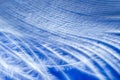 Macro photo. Feather on blue, blurred background. Beautiful soft texture of the pen. Royalty Free Stock Photo