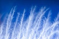 Macro photo. Feather on blue, blurred background. Beautiful soft texture of the pen Royalty Free Stock Photo