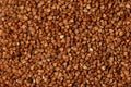 Macro Photo food buckwheat groats. Texture background grain buckwheat groats. Image food product porridge buckwheat