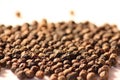 Macro photo of fragrant black pepper. Royalty Free Stock Photo