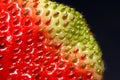 Macro photo of fresh red strawberry seeds. Texture of the red surface of the strawberry berries closeup Royalty Free Stock Photo