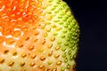 Macro photo of fresh red strawberry seeds. Texture of the red surface of the strawberry berries closeup Royalty Free Stock Photo