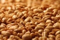 Macro photo of fried oat grains.