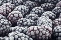 Macro photo of frozen blackberries as background. Blackberries covered by hoarfrost