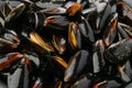 Macro photo of frozen cooked mussels